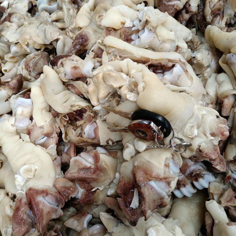 河北熟牛蹄筋可红烧可凉拌全熟去骨乳牛蹄筋，货源充足