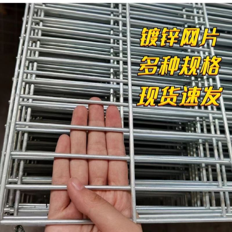 镀锌铁丝长孔网片鸽舍围网鸽子防护网铁丝网鸽棚围网狗笼钢丝