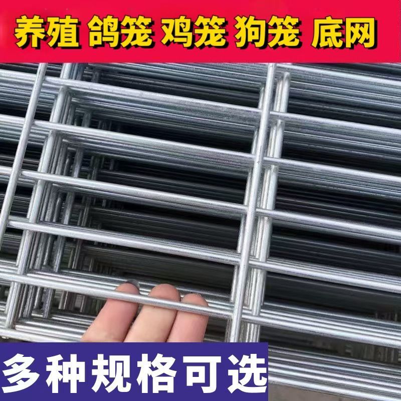 镀锌铁丝长孔网片鸽舍围网鸽子防护网铁丝网鸽棚围网狗笼钢丝