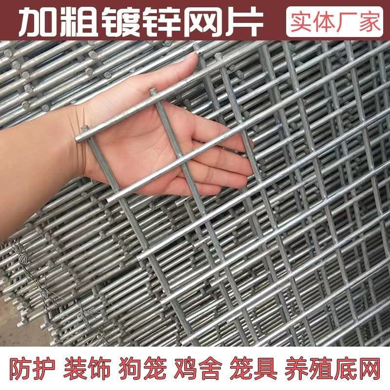 镀锌铁丝长孔网片鸽舍围网鸽子防护网铁丝网鸽棚围网狗笼钢丝