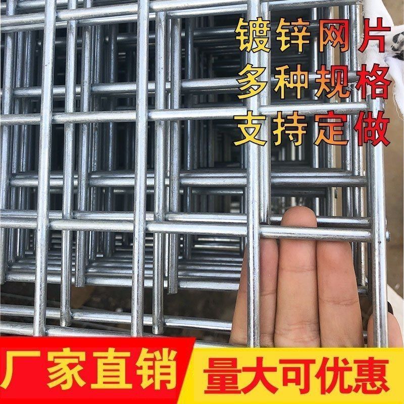 镀锌铁丝长孔网片鸽舍围网鸽子防护网铁丝网鸽棚围网狗笼钢丝
