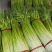 江苏徐州丰县，白帽蒜薹大量上市，供应全国各大市场商超