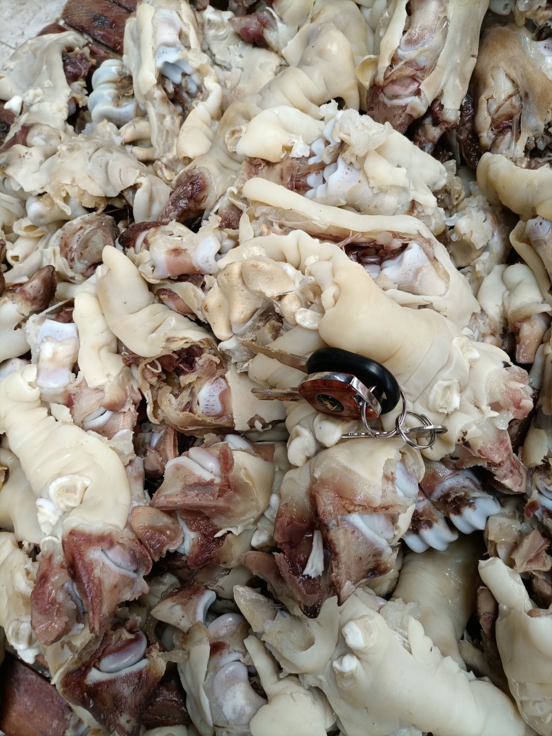 河北熟牛蹄筋可红烧可凉拌全熟去骨乳牛蹄筋，货源充足