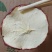 苹果干片一手货源质量保障视频对接电商社区团购商超市场
