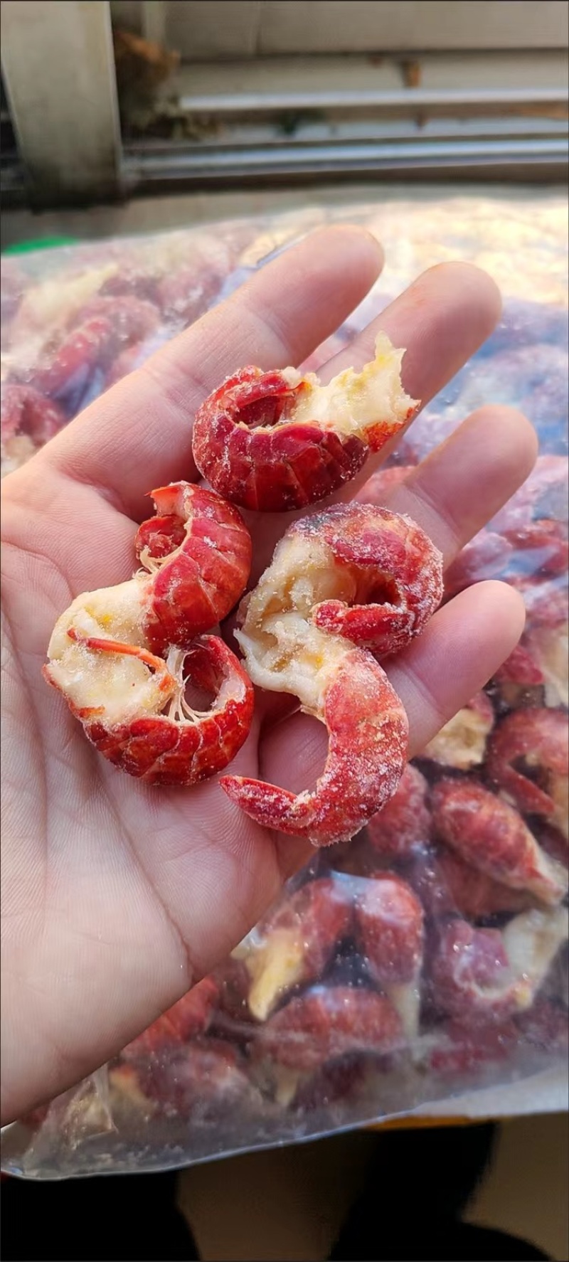 特级单冻龙虾尾20斤箱薄冰大个头常年不断货量大从优