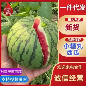 2k小糖丸.产地直发.对接市场、电商、支持一件代发