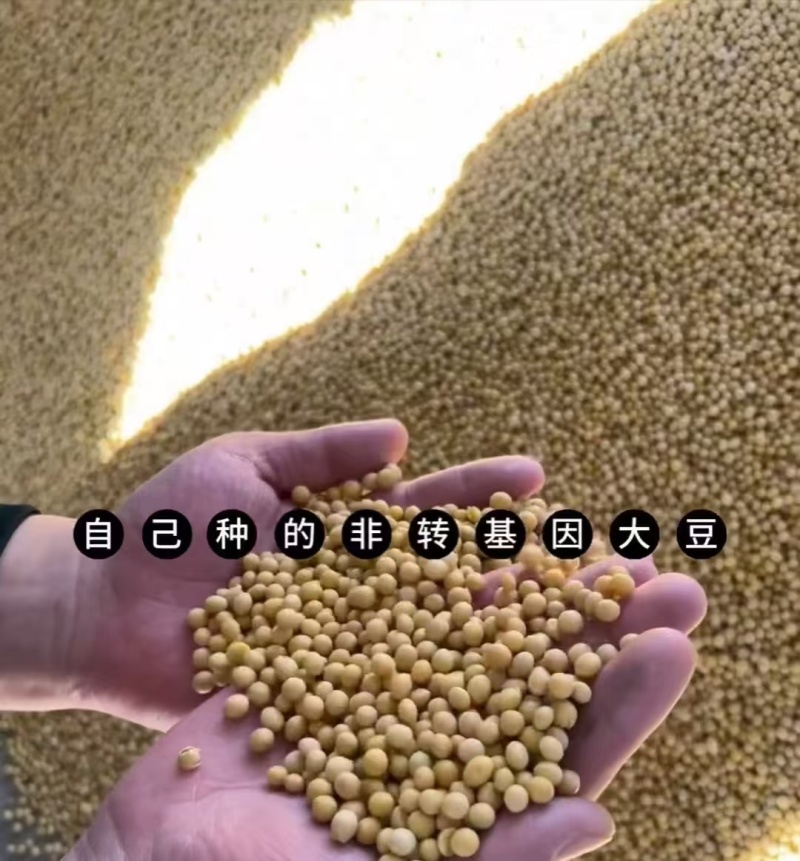 【推荐】黑龙江省齐齐哈尔市富裕县农民纯豆油现榨现发