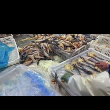带爪鸡腿
