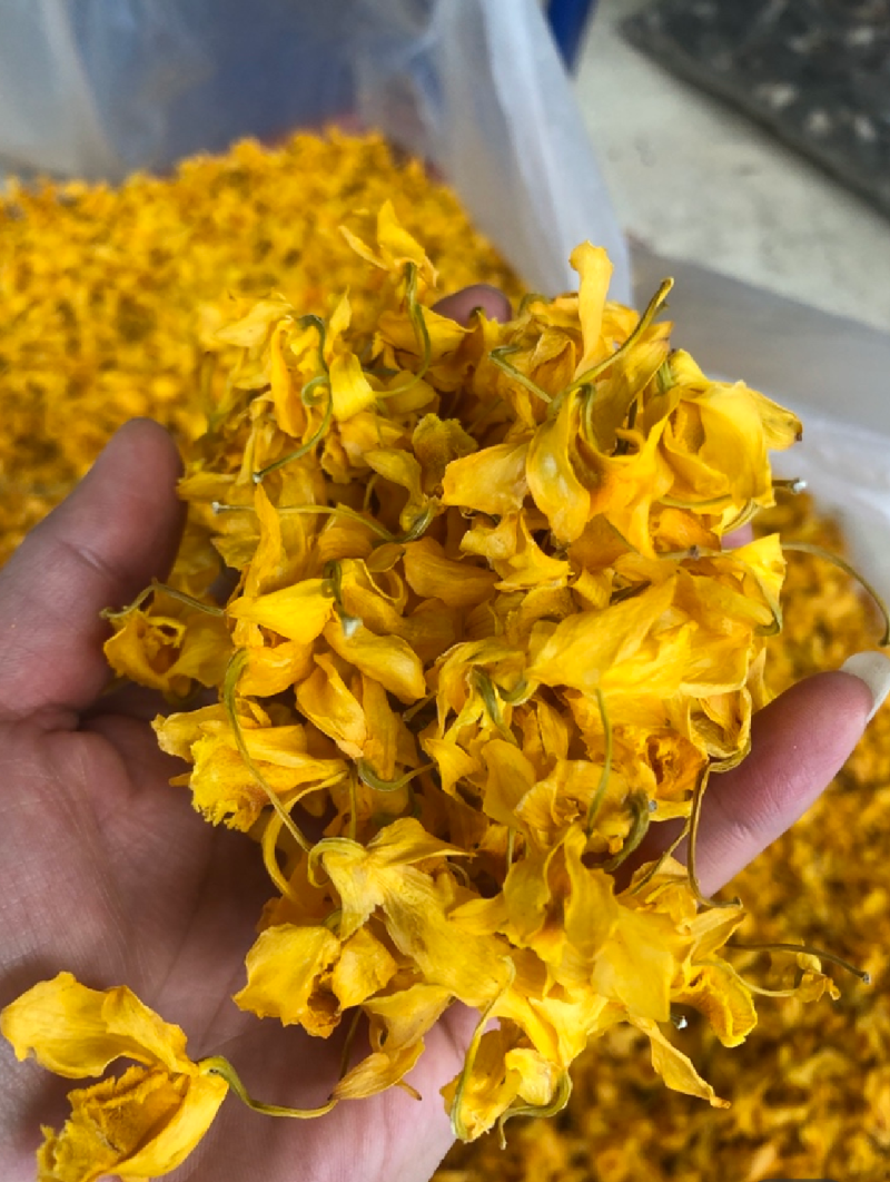 石斛花有铁皮石斛花和鼓锤石斛花两种，各种花条批发