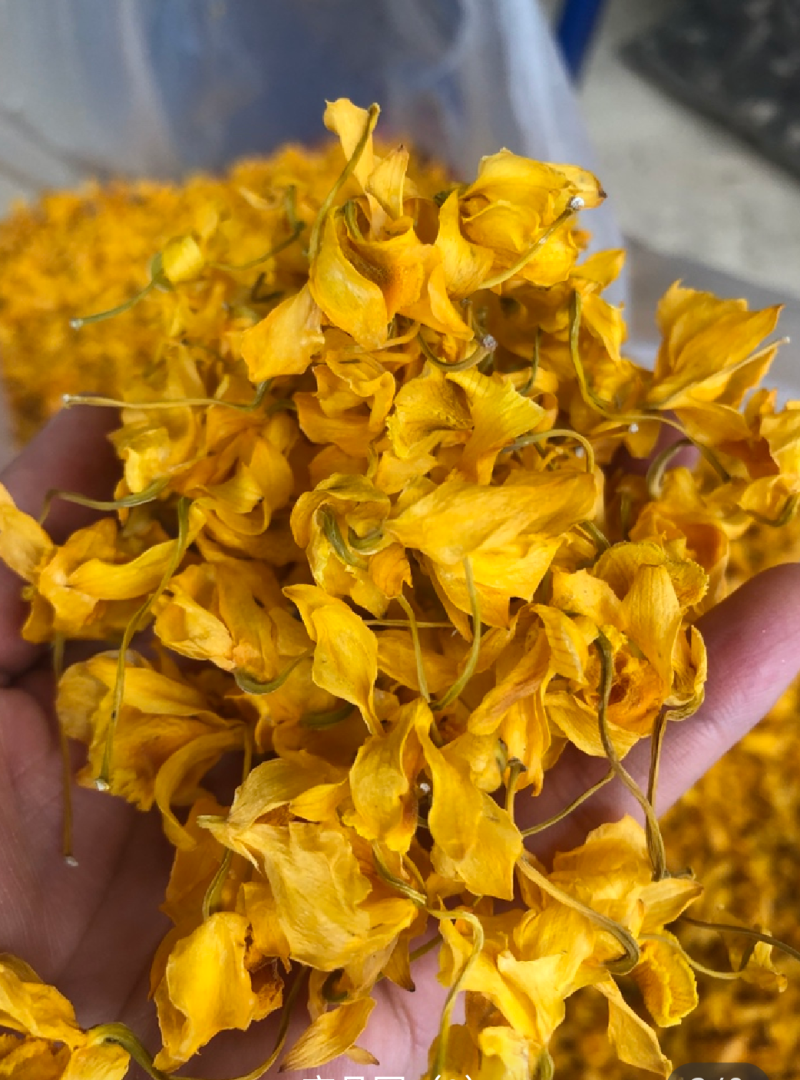 石斛花有铁皮石斛花和鼓锤石斛花两种，各种花条批发