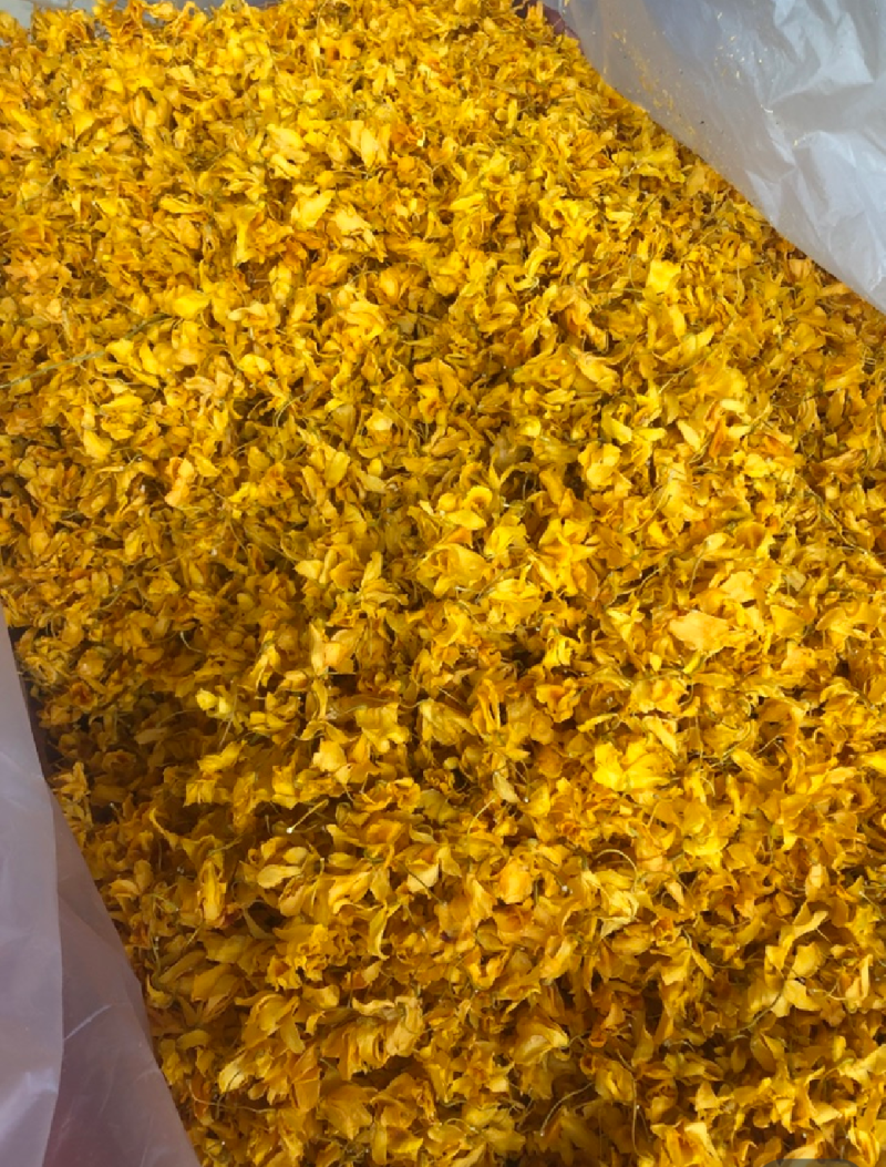 石斛花有铁皮石斛花和鼓锤石斛花两种，各种花条批发