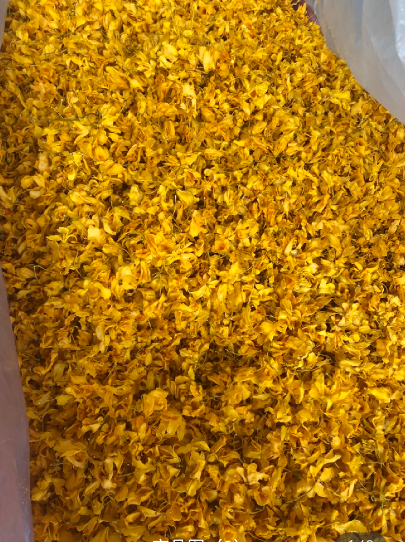石斛花有铁皮石斛花和鼓锤石斛花两种，各种花条批发