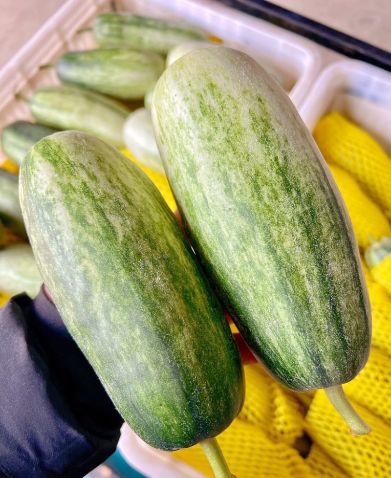 羊角蜜羊角蜜甜瓜聊城甜瓜大量供应商超品质全国发货