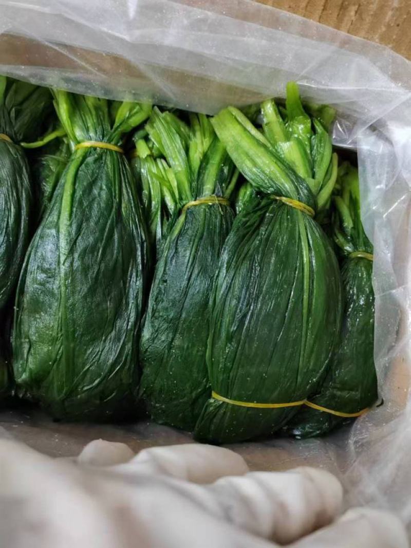 山葱叶大量供货新鲜采摘也有腌制好的品质保证欢迎来电