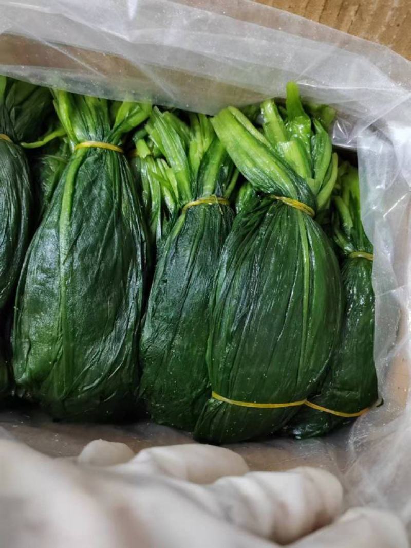 山葱叶大量供货新鲜采摘也有腌制好的品质保证欢迎来电