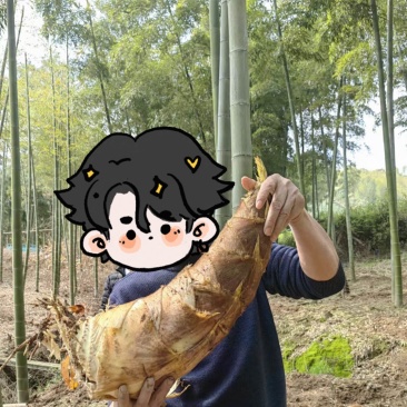 黄牙白壳优质春笋