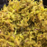 石斛花有铁皮石斛花和鼓锤石斛花两种，各种花条批发
