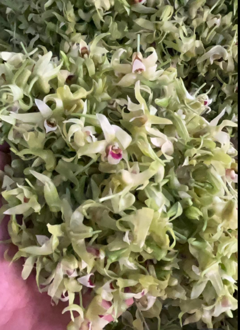 石斛花有铁皮石斛花和鼓锤石斛花两种，各种花条批发