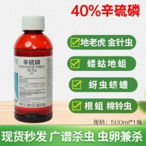 40%辛硫磷乳油棉花棉铃虫蛴螬蝼蛄金针虫地下害虫