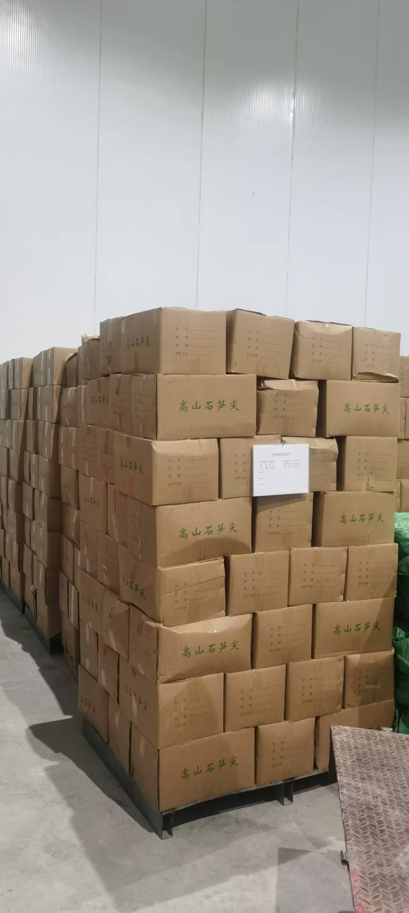 【精品】野生山竹笋新鲜现货大量上市，品质保证，量大从优！