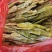 【精品】野生山竹笋新鲜现货大量上市，品质保证，量大从优！