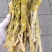 【精品】野生山竹笋新鲜现货大量上市，品质保证，量大从优！