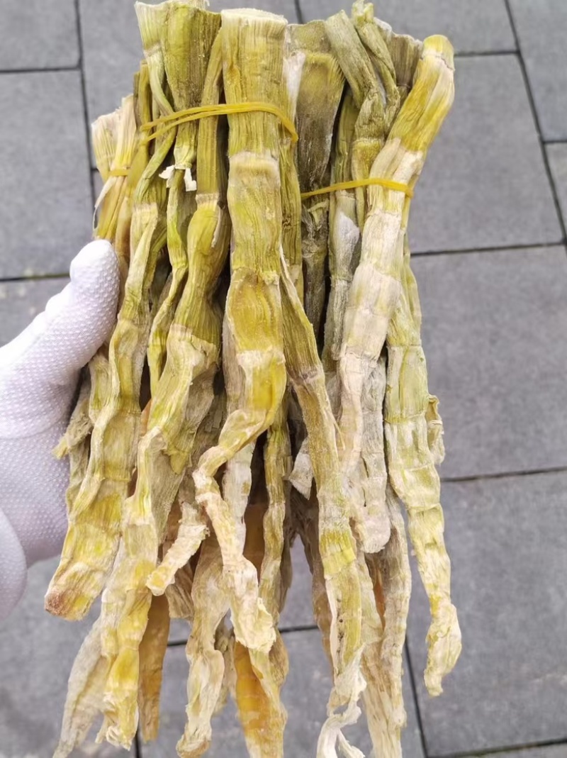 【精品】野生山竹笋新鲜现货大量上市，品质保证，量大从优！