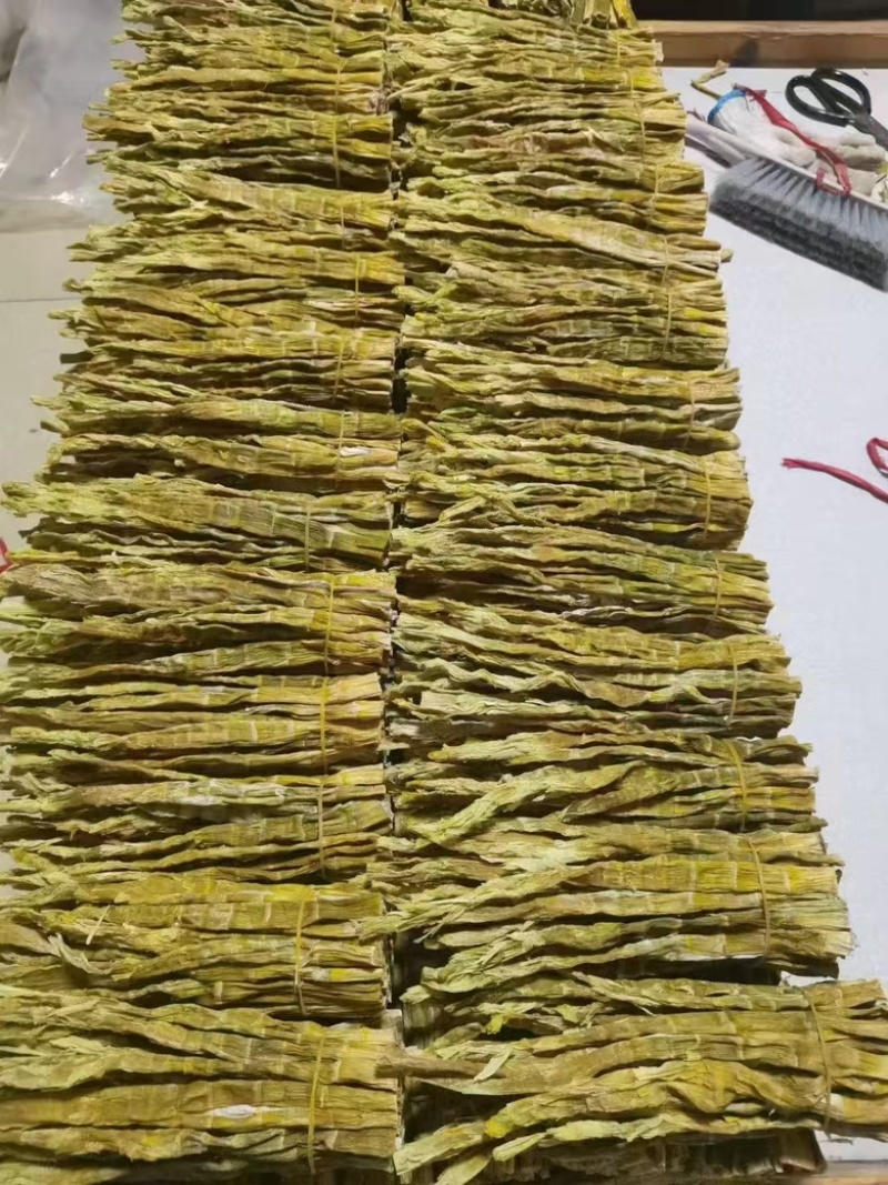【精品】野生山竹笋新鲜现货大量上市，品质保证，量大从优！