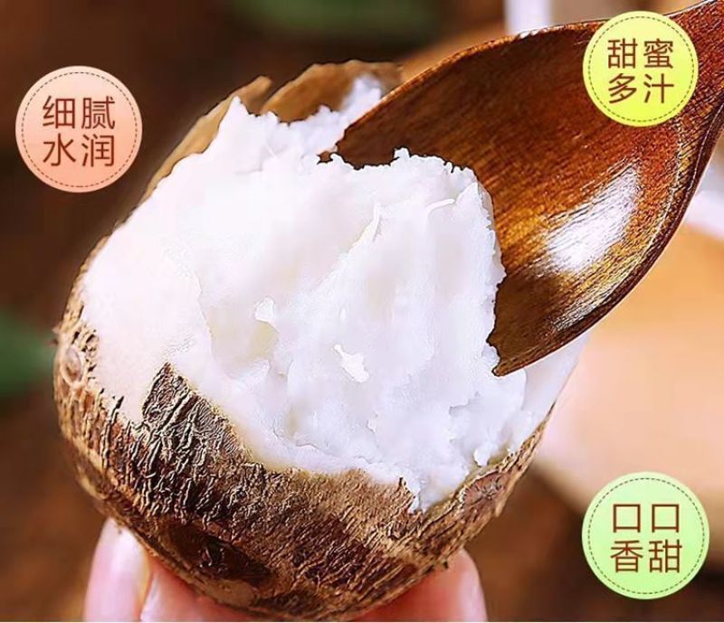 山东牛奶毛芋头支持分捡