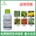 20%盐酸吗啉胍杀菌剂辣椒番茄黄瓜等病毒病小叶防治