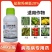20%盐酸吗啉胍杀菌剂辣椒番茄黄瓜等病毒病小叶防治