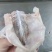 现杀牛蛙肉