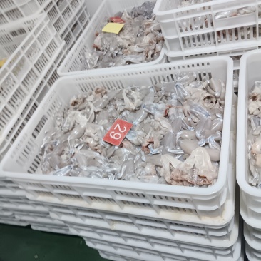 现杀牛蛙肉