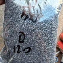 面向全国供优质黑白芝麻，产地直销，大量有货，欢迎老板联系