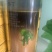 寡糖噻唑膦阿维菌素根结线虫套餐撒施冲刷滴灌全水溶颗粒