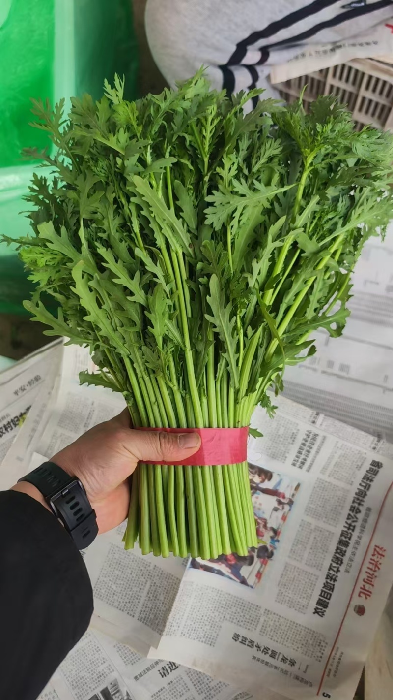 茼蒿