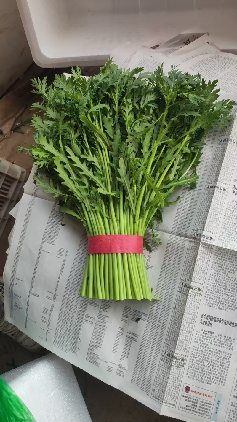茼蒿