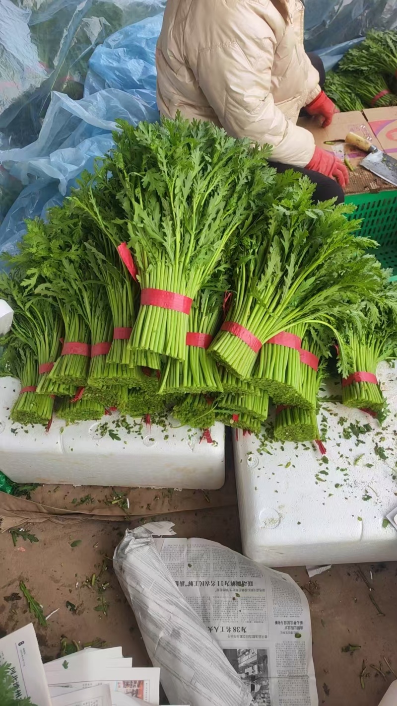茼蒿