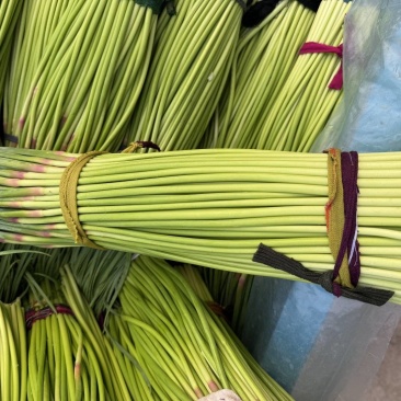 新鲜现摘红帽蒜薹好蒜苔品相好品质好量大从优