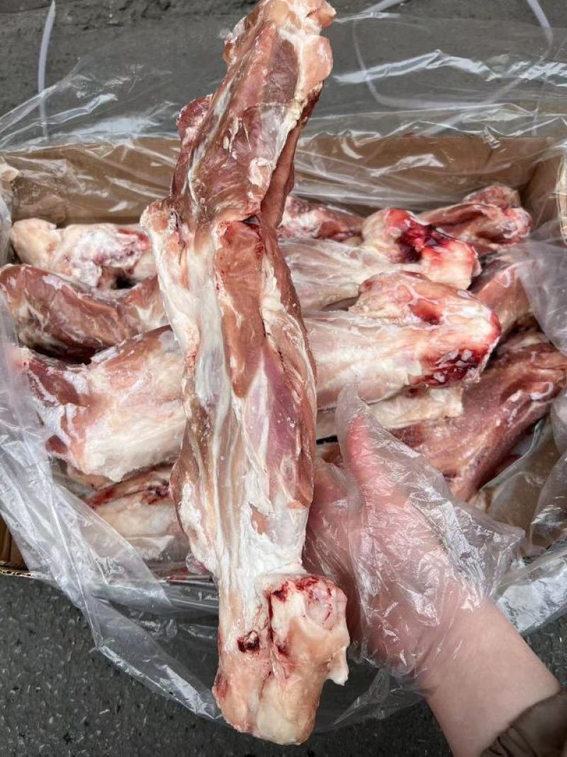 新锣带腱后腿骨
