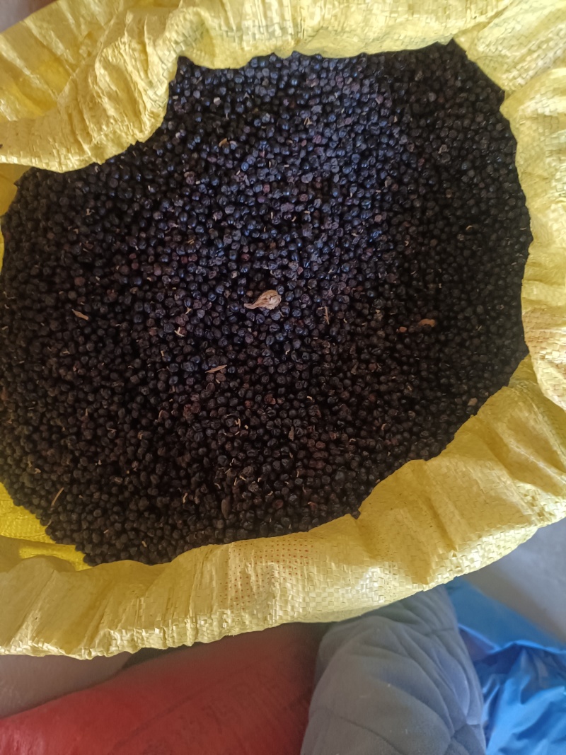 干种子，今年新货，出芽率好