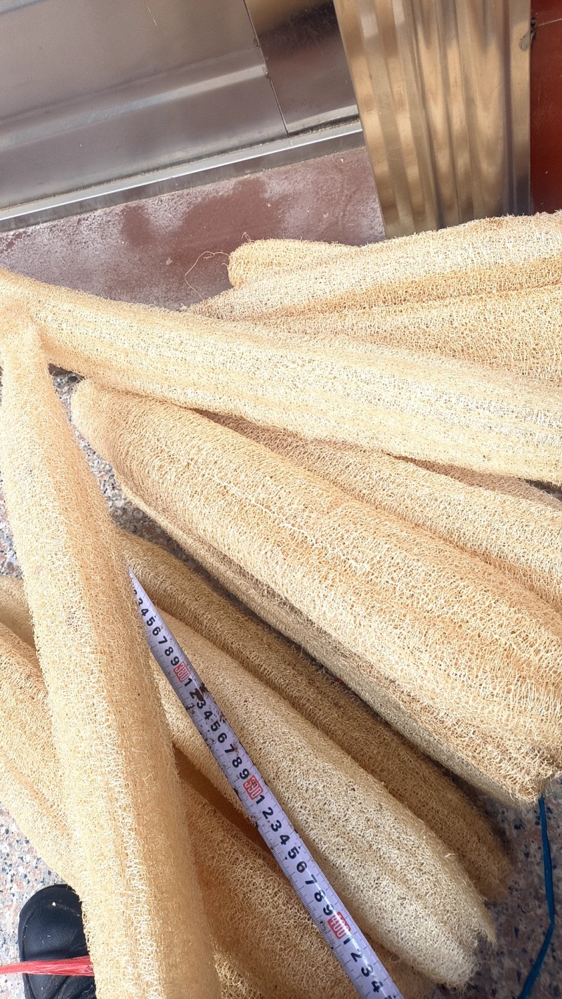 批发丝瓜络洗碗丝瓜瓤刷锅丝瓜巾丝瓜布直径7cm