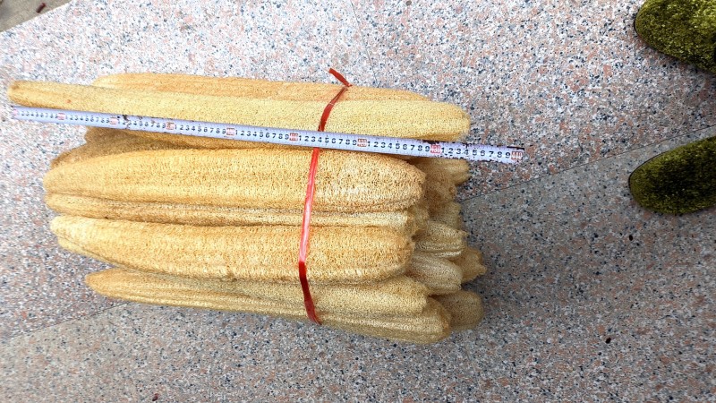 批发丝瓜络洗碗丝瓜瓤刷锅丝瓜巾丝瓜布直径7cm