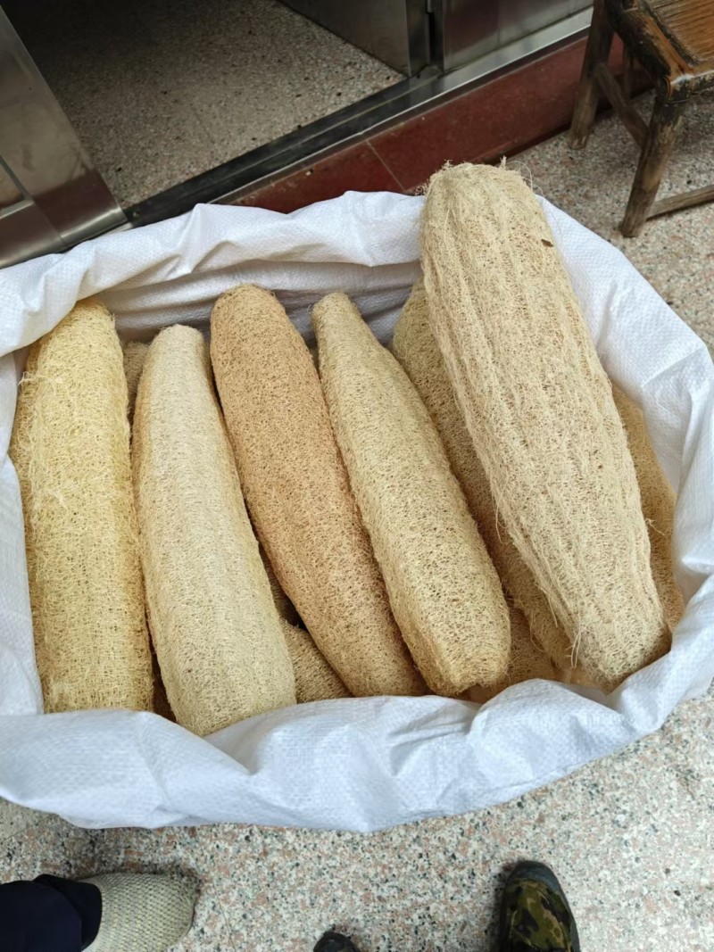 批发丝瓜络洗碗丝瓜瓤刷锅丝瓜巾丝瓜布直径7cm