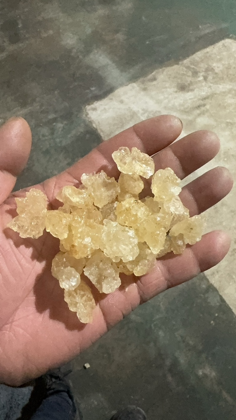 雪燕有货拉丝雪燕