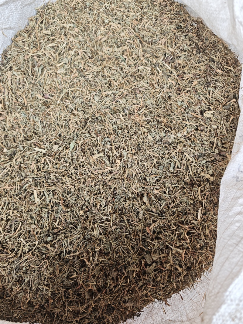 中药材蔊菜1公斤江边剪刀草金剪刀草野油菜野生新货