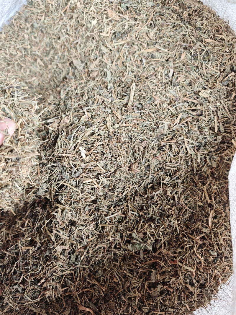 中药材蔊菜1公斤江边剪刀草金剪刀草野油菜野生新货