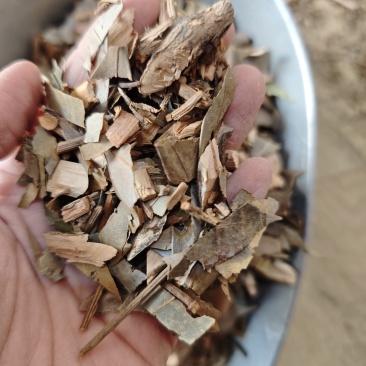 中药材茵芋叶1公斤新货