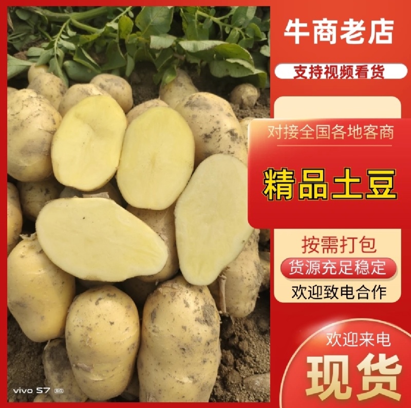 🅰精品土豆黄皮黄心一手货源供市场电商商超