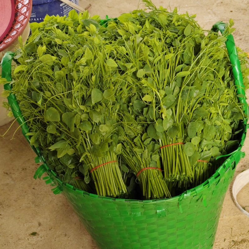 赤苍藤精品菜